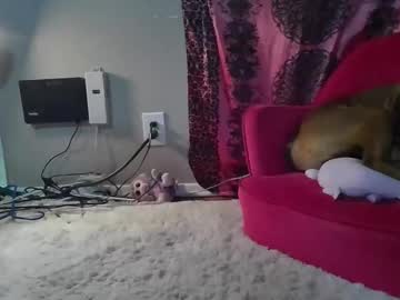 girl Scandalous Cam Girls - Unleash Your Wild Side! with makinziirain